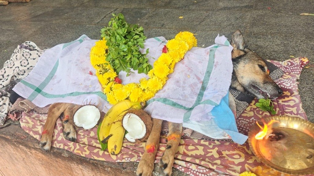 Dog burial ceremony setup with flowers, Surya Pets Funeral Yelahanka