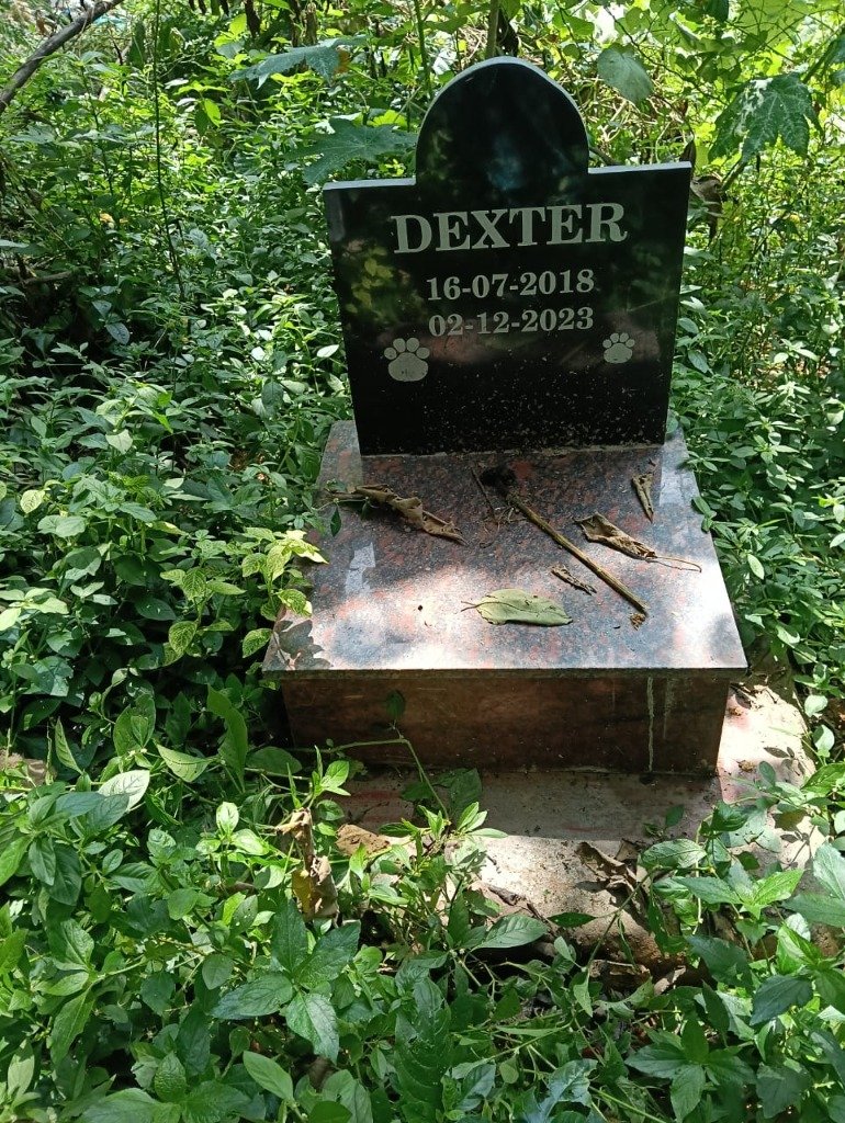 Peaceful pet memorial garden at Surya Pets Funeral, Yelahanka, Bengaluru