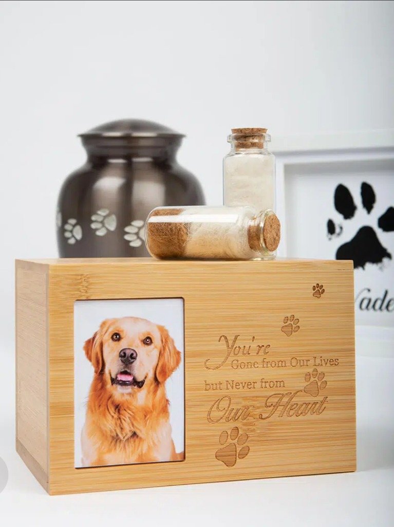 Cat cremation urn and memorial flowers, Surya Pets Funeral Bengaluru