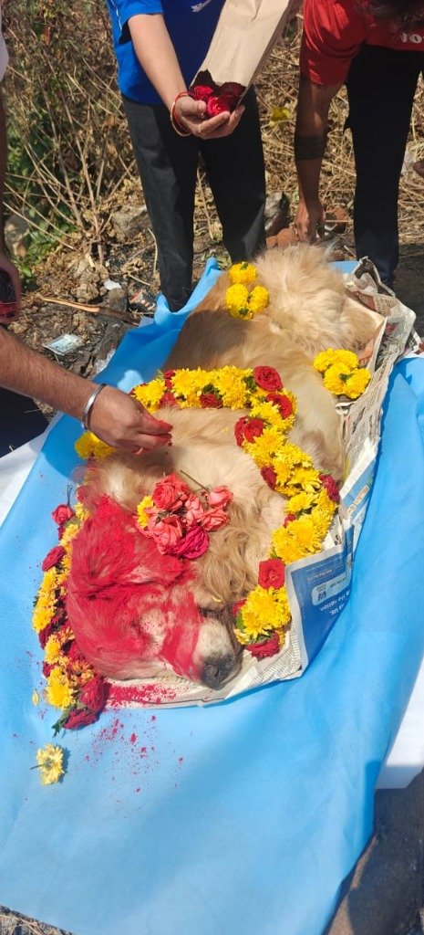 Pet funeral team preparing a respectful farewell in Yelahanka