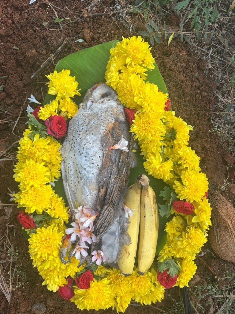 Dog burial ceremony setup with flowers, Surya Pets Funeral Yelahanka