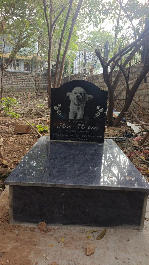 Peaceful pet memorial garden at Surya Pets Funeral, Yelahanka, Bengaluru